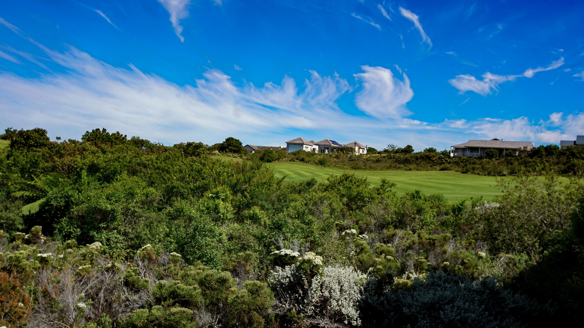 0 Bedroom Property for Sale in Pezula Golf Estate Western Cape